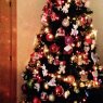 Elisa's Christmas tree from Ceuta