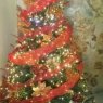 Flia Paez Ochoa's Christmas tree from Miranda-Venezuela