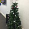 Naomi + Lees Tree's Christmas tree from UK