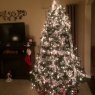 Gina's Christmas tree from Colorado Springs, CO