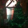 Árbol de Navidad de LJ Vargas  (Lawton Oklahoma USA )