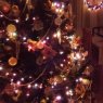 Antonella's Christmas tree from Santa Fe, Argentina
