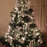 Heather Owens's Christmas tree from USA