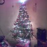 familia perez aspee's Christmas tree from limache,chile