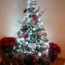 Alfredo Jimenez's Christmas tree from Cd de México 