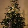 Weihnachtsbaum von Lampin (lomme)