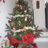 Alegría's Christmas tree from Colombia