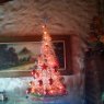 sergio's Christmas tree from mar del plata argentina