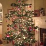 Deborah Milne's Christmas tree from Rochester, NY