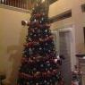 Lucelly montoya 's Christmas tree from Tomball,Texas,USA
