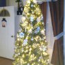 The cintron family's Christmas tree from Bethlehem Pennsylvania