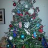 Rickie & Tim's Christmas tree from Birmingham UK