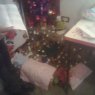 nancy morin torres's Christmas tree from escobedo nuevo leon Monterrey nl