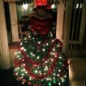Suzette Cross's Christmas tree from Gary In