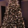 Dawne Pilgrim's Christmas tree from Newcastle, Australia