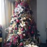 Jose Urdaneta's Christmas tree from Caracas-Venezuela