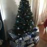 Mikayla's Christmas tree from Australia
