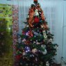 familia tinoco salazar's Christmas tree from Venezuela, Punto Fijo falcon