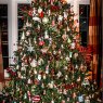 Árbol de Navidad de Jeanne  (Lincoln, Ne, USA)