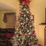 Denise D's Christmas tree from Pewaukee, Wi USA. 