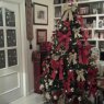 Lourdes's Christmas tree from Malaga, España