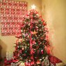 Cooper & Taylor's Christmas tree from Daytona Beach, USA