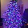 Árbol de Navidad de PBnJ (Menasha, WI USA)
