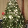 Amanda Recob's Christmas tree from Saint Joseph, Missouri 