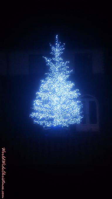 Tree of light (Southport, UK)