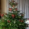 Svetlana's Christmas tree from Low Saxony, Germany