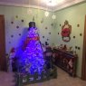 Lourdes 's Christmas tree from Madrid, España