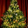 Aiva's Christmas tree from Dublin