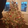 Kelly M's Christmas tree from Wickford, England