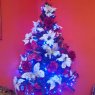 jose luis's Christmas tree from Tenerife