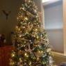 Gone Coastal's Christmas tree from Everett, WA