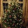 Harry Calvert's Christmas tree from Hawes, North Yorkshire, UK