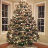 Jolene Kwasnik's Christmas tree from Norwich, CT USA