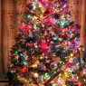 Tina Gleason's Christmas tree from Newfoundland, Canada