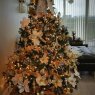 Dee Rodriguez's Christmas tree from Miami, USA