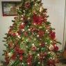 Lesley Singleton's Christmas tree from Gold Coast, Australia