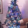 Flia. Leal Osuna's Christmas tree from Estado Miranda - Venezuela