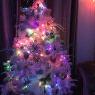 Jo Malcher 's Christmas tree from Banbury, Oxfordshire, UK