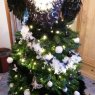Aurélie's Christmas tree from Namur, Belgique