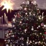 Andreas 's Christmas tree from Dortmund, Deutschland 