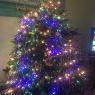 Brian Scragg's Christmas tree from North Palm Beach Fl