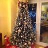 Marvin Soriano's Christmas tree from Walthamstow London United Kingdom