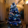 Idilia's Christmas tree from Paris, France