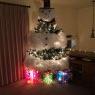 Árbol de Navidad de Sanders tree  (Southbend Indiana )