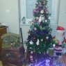 samantha mercier 's Christmas tree from chatellerault france 