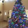 Ronda Dempsey's Christmas tree from Surprise Arizona